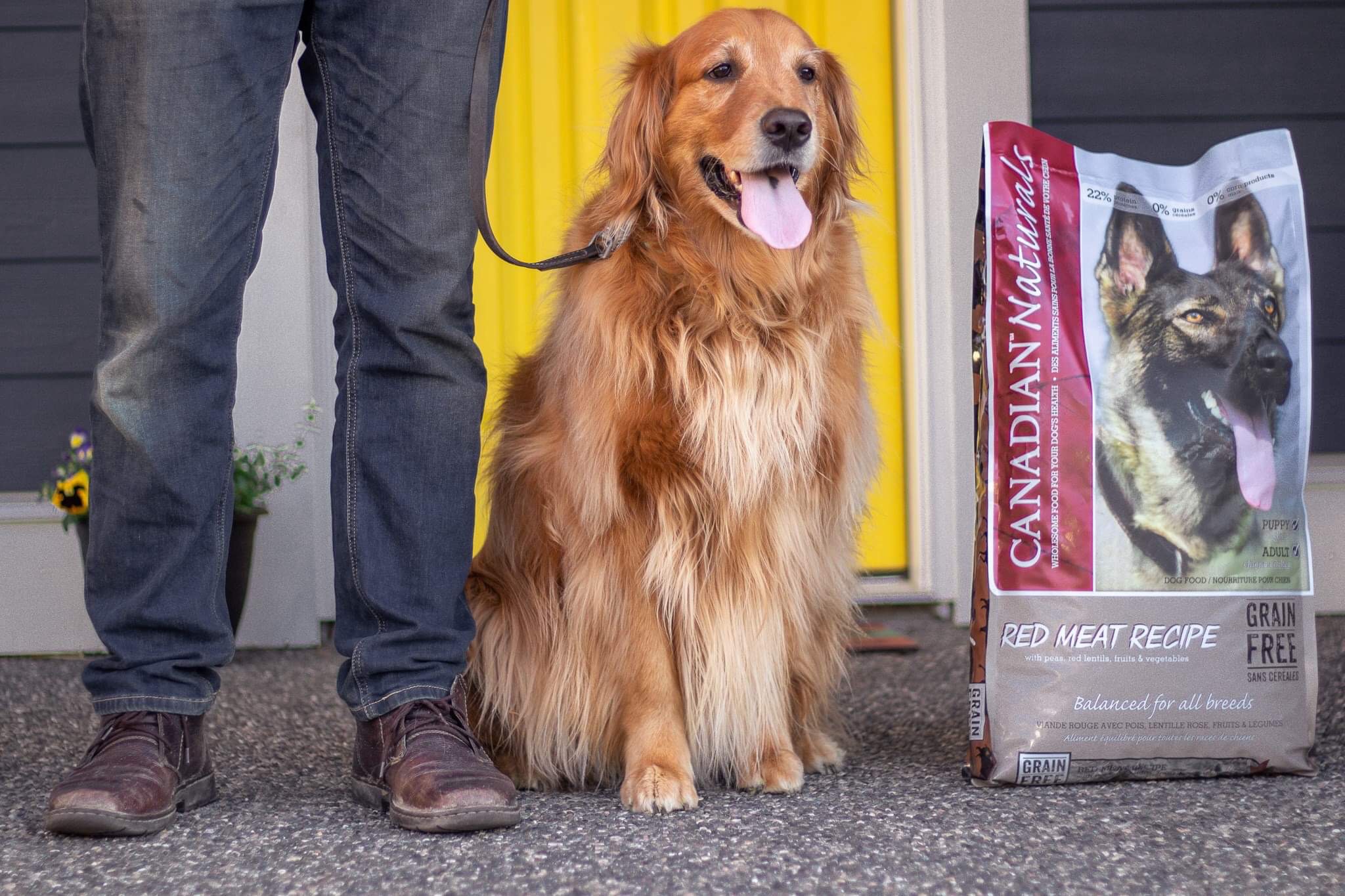 Pet Nutritionist Reviews: Canadian Naturals Dog Food