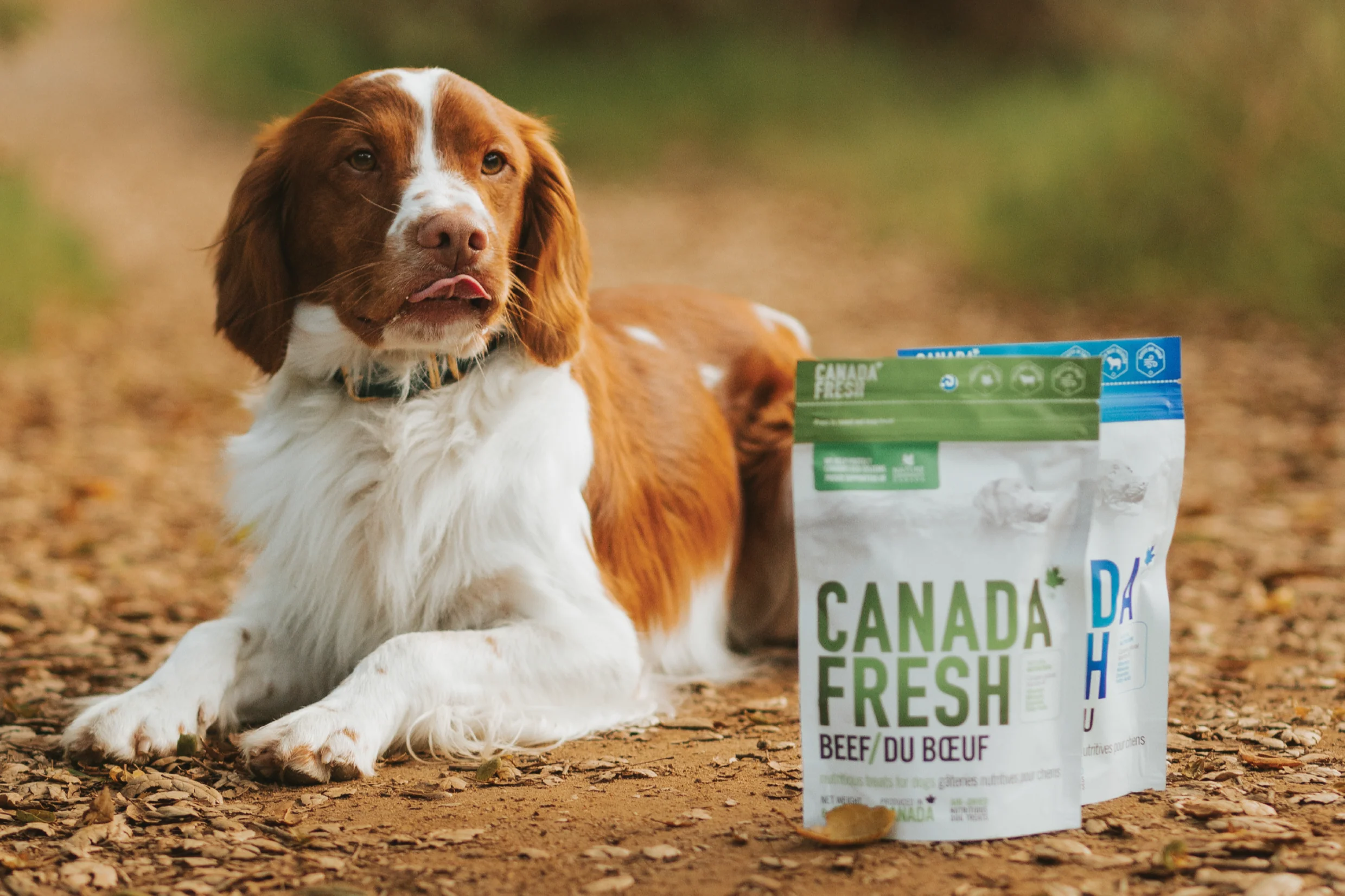 Pet Nutritionist Reviews: Canada Fresh Dog Food
