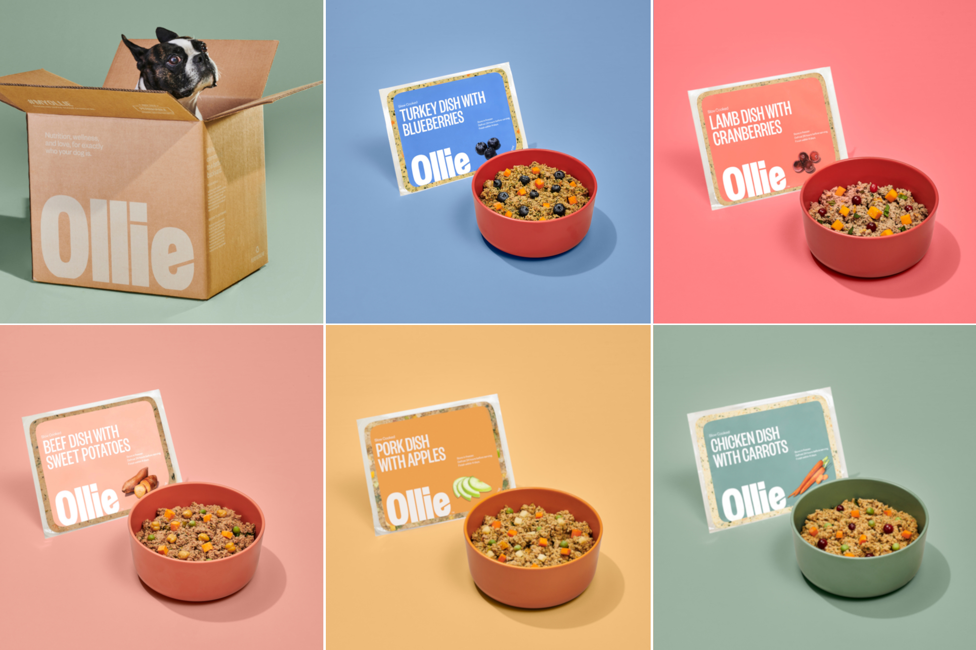 Ollie dog food collage featuring a dog in a box and five meals: turkey, lamb, beef, pork, and chicken.